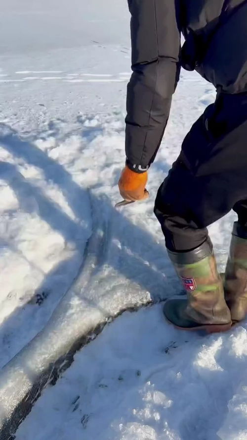 华为手机怎么欢桌面 华为手机怎么欢桌面