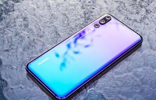 华为手机怎么照文竹