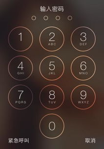 华为手机怎么扫密码