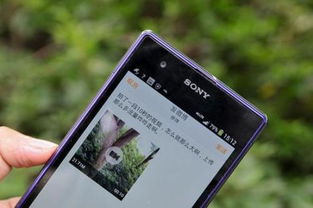 华为手机怎么开了网络