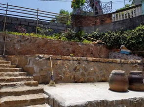 华为手机庭院怎么拍