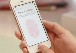 华为手机怎么保定饭卡