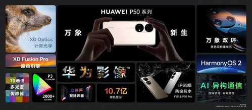 华为怎么反向升级手机