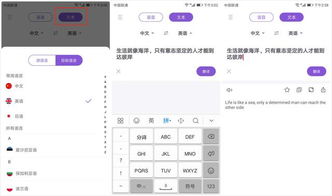 华为手机怎么翻译中文