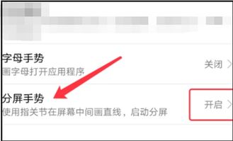 华为手机分频怎么禁止