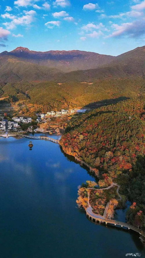 华为手机桌面怎么动