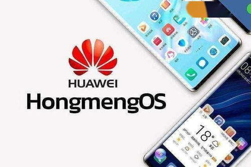 华为手机鸿蒙怎么降级