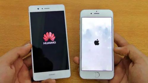 手机华为苹果怎么选