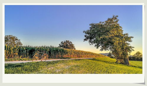 余晖华为手机怎么拍摄