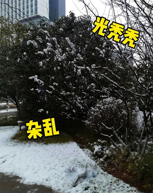 雪景怎么拍摄华为手机