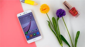 华为手机怎么认识鲜花