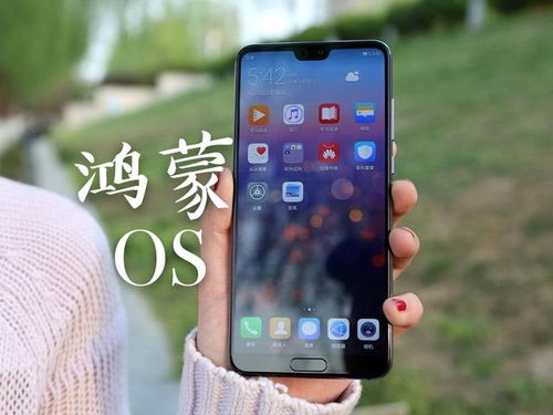 华为手机怎么确定进水 华为手机怎么确定进水