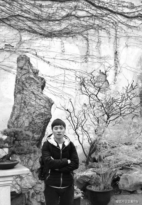 华为手机绘图怎么画 华为手机绘图怎么画