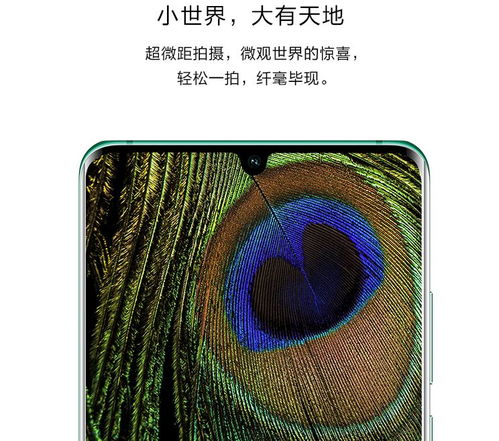 华为手机日语怎么拍摄