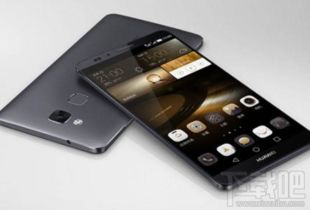 华为手机怎么识别物种