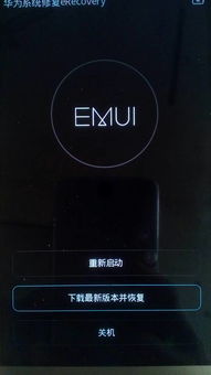 华为手机怎么记忆密码