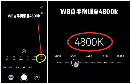 雪景华为手机怎么调 雪景华为手机怎么调