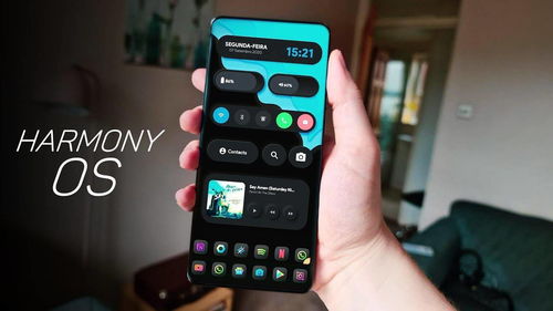 华为手机鸿蒙怎么玩