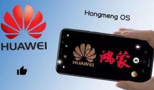 华为手机怎么升级存储