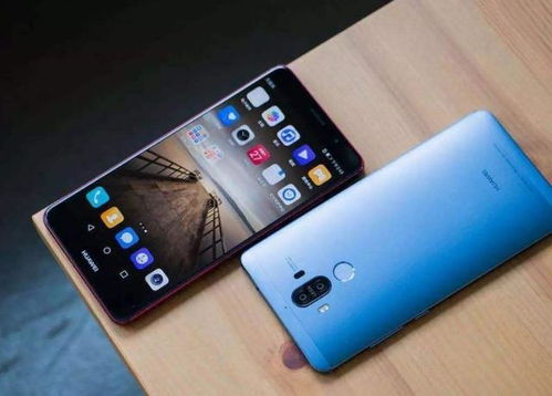 华为手机怎么获得白鸟 华为手机怎么获得白鸟