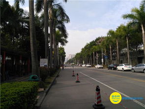 华为手机怎么拍摄马路 华为手机怎么拍摄马路