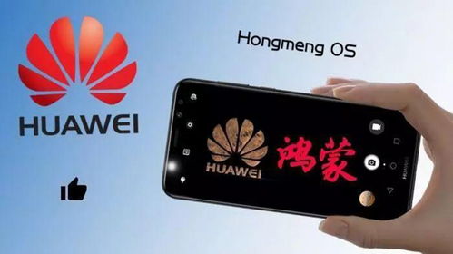 华为手机鸿蒙怎么关机