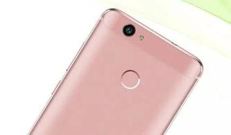 华为手机女孩怎么选