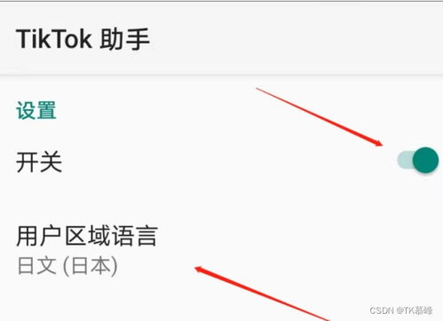 华为手机怎么连tiktok