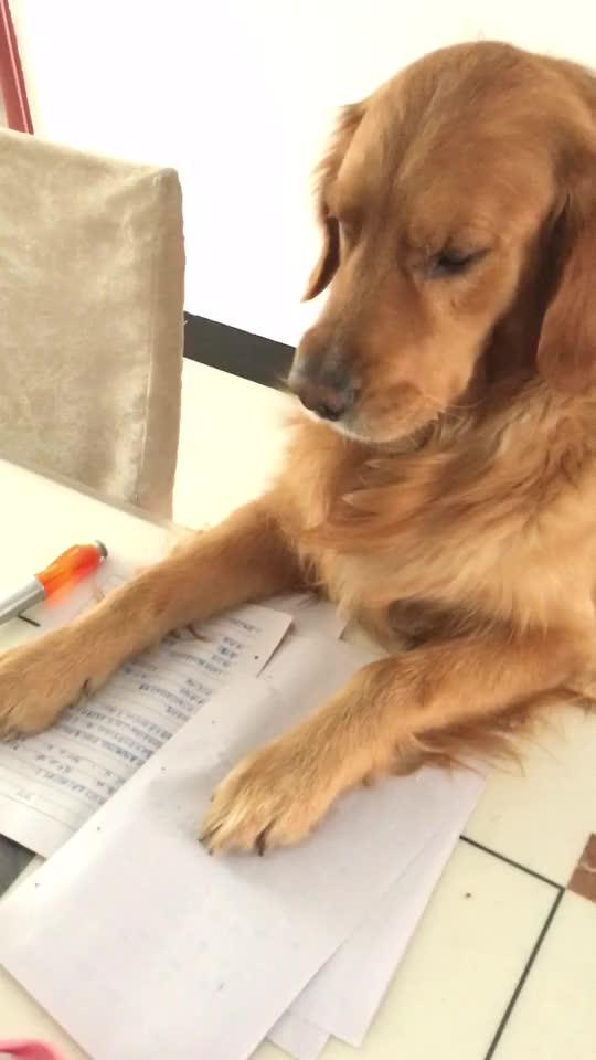 华为手机桌面怎么删了