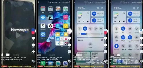 华为手机os怎么更新