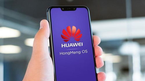 华为手机怎么拍月石