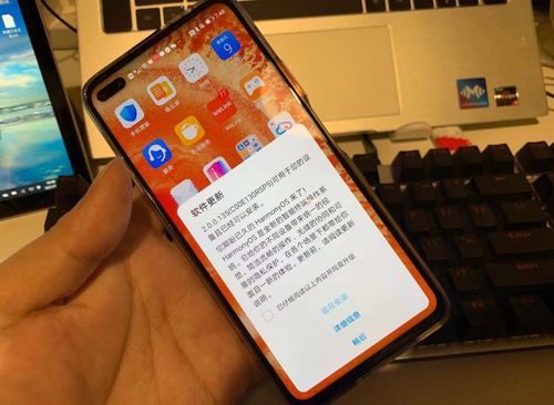 华为手机怎么内测鸿蒙