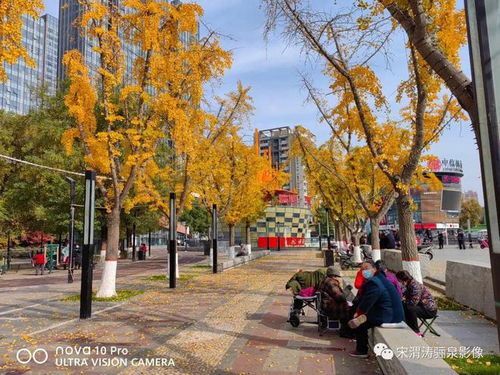 怎么拍秋景华为手机 怎么拍秋景华为手机