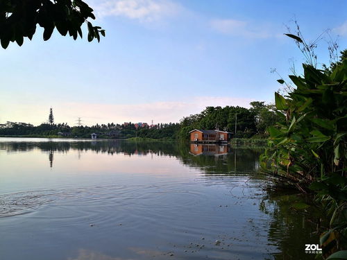 华为手机怎么拍鱼塘