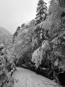 华为手机雪景怎么拍