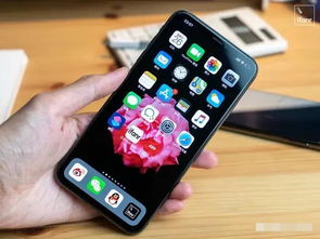 华为手机苹果怎么选