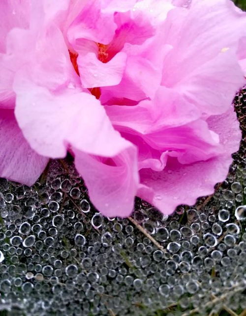 华为手机怎么照雨点