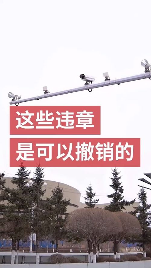 华为手机桌面怎么撤销