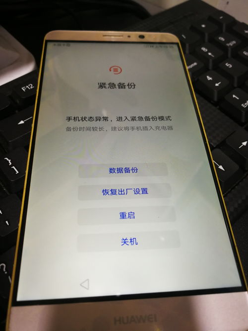 华为手机dp怎么设置