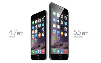 华为手机怎么下toptop