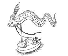 华为手机怎么画龙宫 华为手机怎么画龙宫