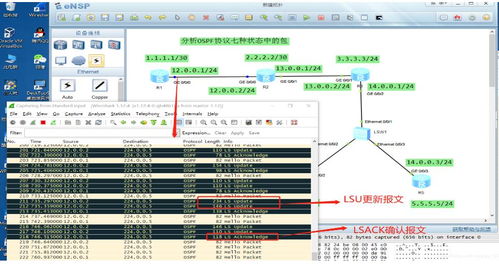 华为手机ospf怎么用
