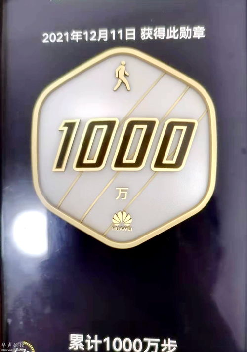 华为手机走步计数怎么 华为手机走步计数怎么