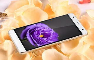 华为手机怎么开启ND