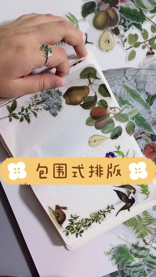 怎么排版华为手机桌面 怎么排版华为手机桌面