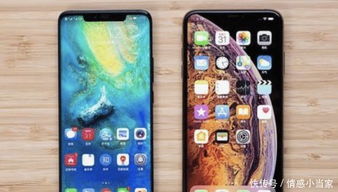 怎么用华为手机拍花