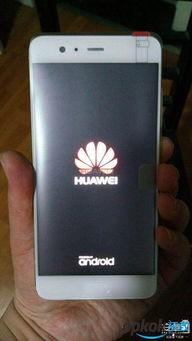 华为手机怎么拍绿色