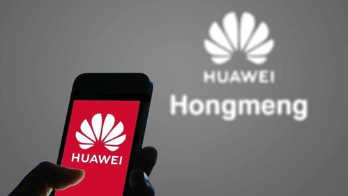 华为鸿蒙手机怎么开源 华为鸿蒙手机怎么开源