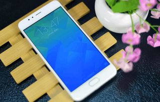 怎么选择华为小米手机