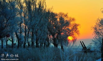 华为手机雾凇怎么拍 华为手机雾凇怎么拍